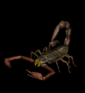 Avatar de Usuario